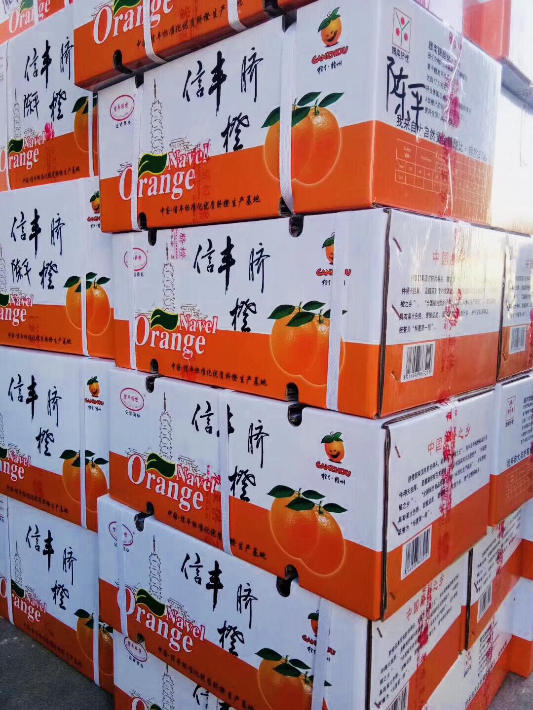 天地心网络信丰脐橙礼品装